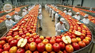 How Millions of Apples Are Harvested and Processed &ndash; Inside a Modern Apple Factory