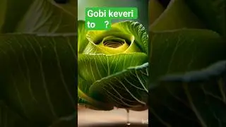 cobi video AI generate video full film 🙀🙀   #Kobe #music