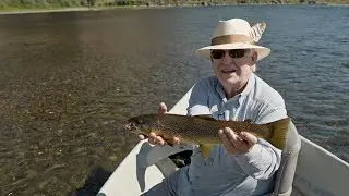 Dry Fly Brown Trout | Missouri River, Montana