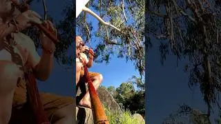 Flute Offering 2 - 23.03.2025
