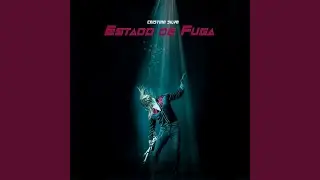 Estado de Fuga