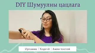 Амин тостой шумуулны цацлага хийцгээе.