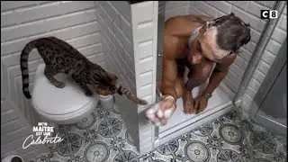 Julien Gelöen et ses deux chatons se pomponnent - Mon maître est une célébrité