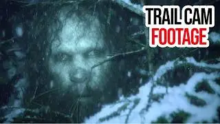 VIRAL: Most Convincing Bigfoot Evidence Ever Recorded