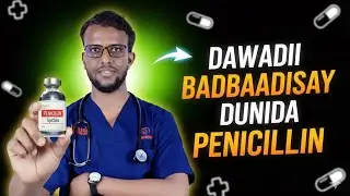 Penicillin &ndash; Daawadii Bedeshay Taariikhda Bani&rsquo;aadamka 💊✨