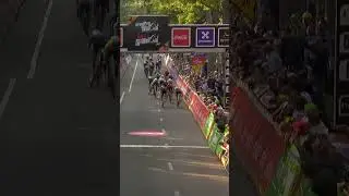🍾 Roger Adri&agrave; Wins Grand Prix de Wallonie #wallonie #globalcyclingnetwork #gcn