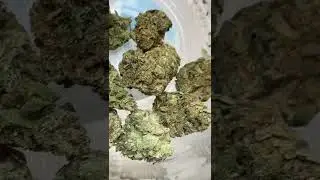 #Legalize #420