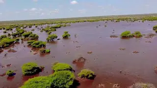 Nugaal -Balliga Reebanti 2023 | Somalia Beautiful Landscapes | #Jubba