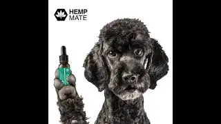 HempMate - CBD f&uuml;r Tiere !!!
