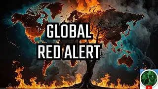 Global Red Alert! WORLD ON FIRE &ndash; From the Amazon to Jerusalem!