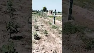 #fencing #new#chainlinkfencing #compoundwall #precastcompoundwall #barbedwire