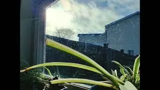 snowfall 