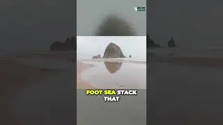 Unveiling Oregon's Breathtaking Beach: Haystack Rock Bliss #viral #usa #us #trendingshorts #fypシ
