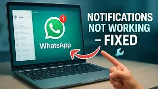 Исправление неработающих уведомлений в приложении WhatsApp для ПК &mdash; пошаговое руководство