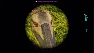 Seagulls... ARK: Survival Ascended