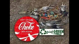 GREAT PACIFIC GARBAGE PATCH 3/3 - Midway