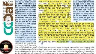 Kiddushin 19 [9.1]  - Daf Yomi Clear & Concise