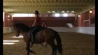 Vídeo de presentación de la Real Maestranza de Caballería de Ronda. Gala FPDE 2015