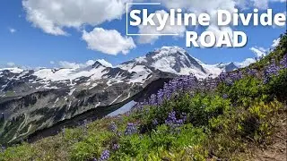 Skyline Divide Trailhead Road - Northern Cascades, Washington (2022 was closed)