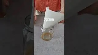 Fruchtfliegenfalle mit Essig (Lebendfalle)