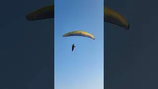 🦅🪂 #paragliding #manali #shorts #ytshorts #adventure