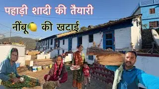 पहाड़ी शादी की तैयारी॥लकड़ी लाना और नींबू 🍋 की खटाई॥ Pahad Me Shadi Ki Taiyari॥Neembu Ki Khatai