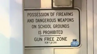 Zero tolerance for bullying, weapons at school