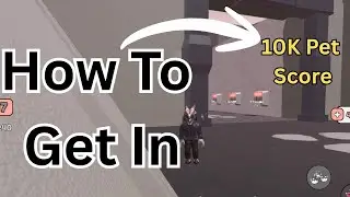 How to get 10,000 Pet Score in Collect All Pets Roblox