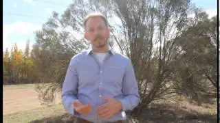 Equine Biosecurity: Hendra Virus