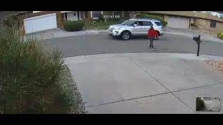 Karen harassing my neighbor