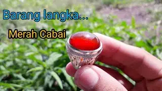 Batu Obi warna mereh Cabai Karakter nukleus pastinya merah sekali