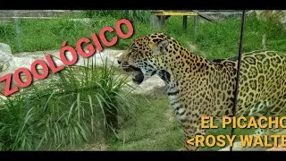 Zoológico en Cerro El Picacho