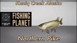 Fishing Planet Northern Pike Kaniq Creek Alaska Guide