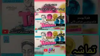 Tamasha 1965 Pakistani Film cast #lollywood #ytshorts #shorts #vira