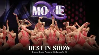 Indianapolis Best In Show Winner: 