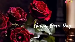 7 February Happy Rose Day Status 2026🌹|Happy Rose Day Whatsapp Status🥀|Rose Day Song Status❤️