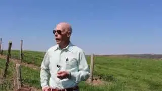 Виноделы Нью-Йорка: Боб Мэдилл, Шелдрейк-Пойнт