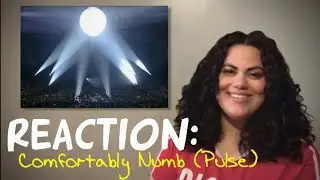 SINGER REACTS to...Pink Floyd's 