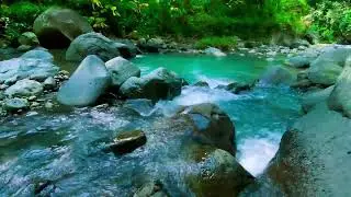 [10 HOURS] Soothing River Sounds for Better Sleep Tonight