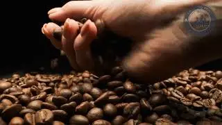 Trading Post the Roastery - Best coffee shop Brighton