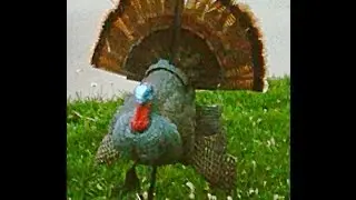 DUCK WILD TV - Offseason Hunting Tips - Mojo Scoot & Shoot