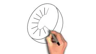 How to draw Kiwi fruit outline drawing image step by step