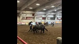 Ranch Rodeo Bash Wild Horse Race 2024 Torrington, Wyoming
