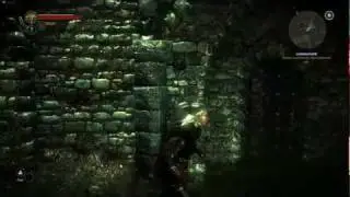 The Witcher 2 - Beautifull, Awesome RPG -  Full HD 1080p