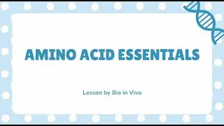 Amino Acid Essentials | Bio in Vivo