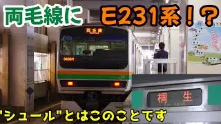 【総集編】E231系 両毛線栃木県区間へ進出@2025.4.26-27