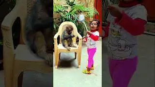 aabra ka dabra gili gili chu @Shorts#shorts #viralvideo #trending #vfxshorts