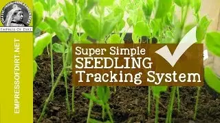 Seed Starting | Easy No-Tag Seedling Tracking System