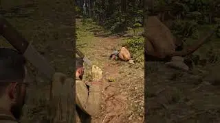 Survival Skill in Red Dead Redemption 2 P1185 #rdr2 #survivaltips #gamingshorts #gaming #shorts