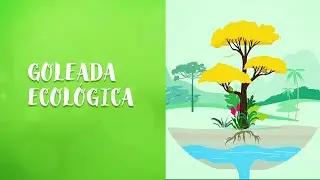 GOLEADA ECOL&Oacute;GICA - CORREDOR ECOL&Oacute;GICO